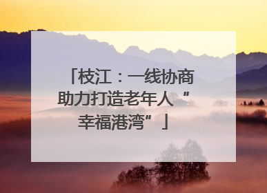 枝江：一线协商助力打造老年人“幸福港湾”