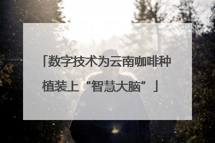 数字技术为云南咖啡种植装上“智慧大脑”