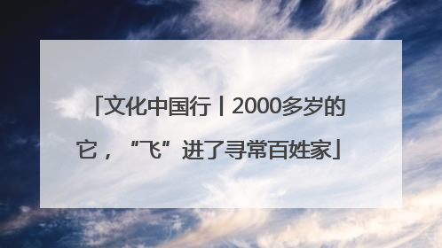文化中国行丨2000多岁的它，“飞”进了寻常百姓家