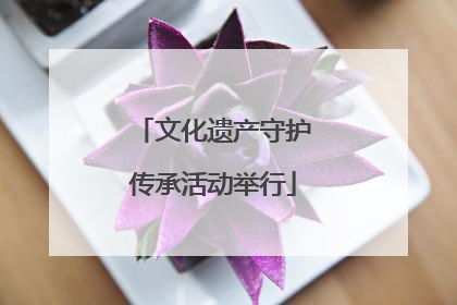 文化遗产守护传承活动举行