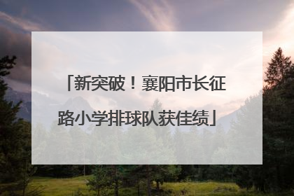 新突破！襄阳市长征路小学排球队获佳绩
