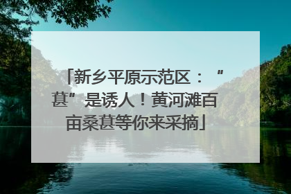新乡平原示范区：“葚”是诱人！黄河滩百亩桑葚等你来采摘