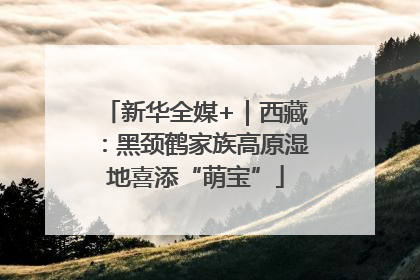 新华全媒+｜西藏：黑颈鹤家族高原湿地喜添“萌宝”