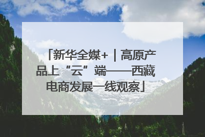 新华全媒+｜高原产品上“云”端——西藏电商发展一线观察