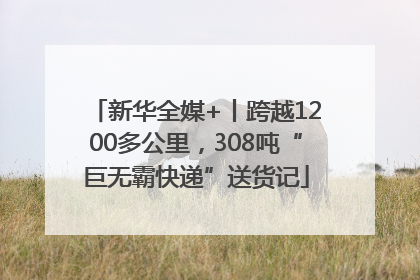新华全媒+丨跨越1200多公里，308吨“巨无霸快递”送货记