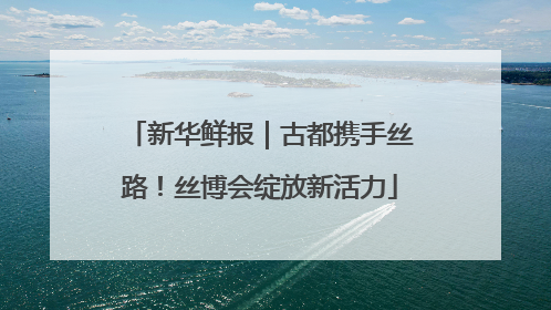 新华鲜报｜古都携手丝路！丝博会绽放新活力