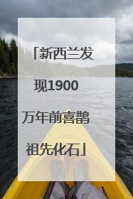 新西兰发现1900万年前喜鹊祖先化石