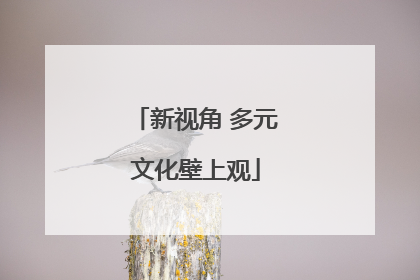 新视角 多元文化壁上观