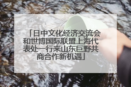 日中文化经济交流会和世博国际联盟上海代表处一行来山东巨野共商合作新机遇