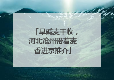 旱碱麦丰收，河北沧州带着麦香进京推介