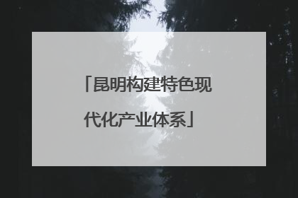 昆明构建特色现代化产业体系