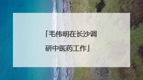 毛伟明在长沙调研中医药工作