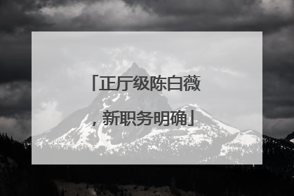 正厅级陈白薇，新职务明确