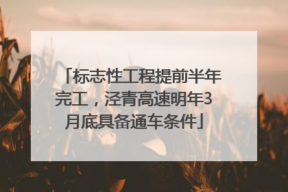 标志性工程提前半年完工，泾青高速明年3月底具备通车条件