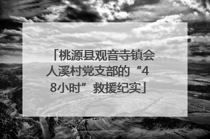 桃源县观音寺镇会人溪村党支部的“48小时”救援纪实