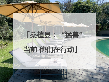 桑植县：“猛兽”当前 他们在行动