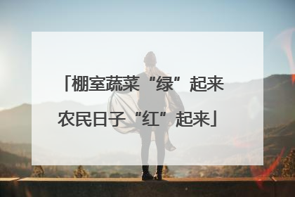棚室蔬菜“绿”起来 农民日子“红”起来