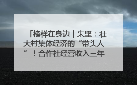 榜样在身边｜朱坚：壮大村集体经济的“带头人”！合作社经营收入三年内突破1200万元