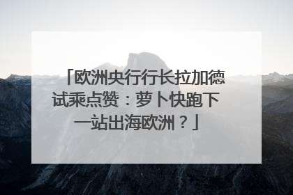 欧洲央行行长拉加德试乘点赞：萝卜快跑下一站出海欧洲？