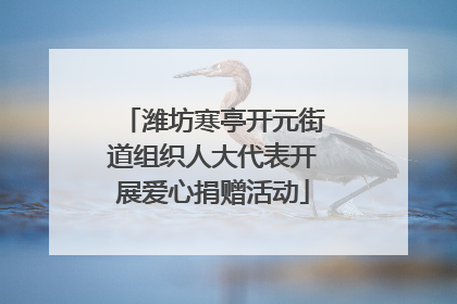 潍坊寒亭开元街道组织人大代表开展爱心捐赠活动