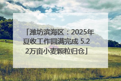 潍坊滨海区：2025年夏收工作圆满完成 5.22万亩小麦颗粒归仓