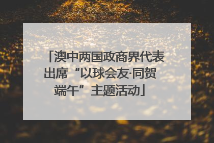 澳中两国政商界代表出席“以球会友·同贺端午”主题活动