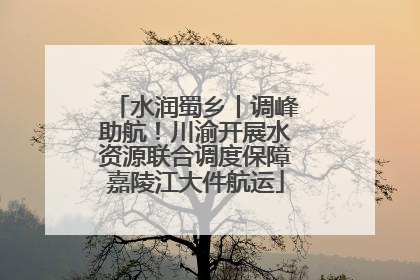 水润蜀乡丨调峰助航！川渝开展水资源联合调度保障嘉陵江大件航运