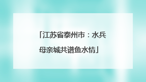 江苏省泰州市：水兵母亲城共谱鱼水情