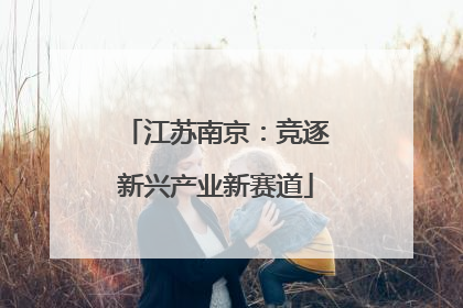 江苏南京：竞逐新兴产业新赛道