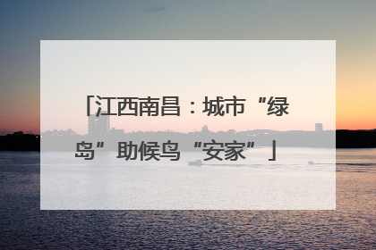 江西南昌：城市“绿岛”助候鸟“安家”