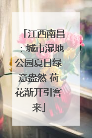 江西南昌：城市湿地公园夏日绿意盎然 荷花渐开引客来