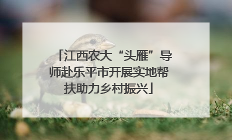 江西农大“头雁”导师赴乐平市开展实地帮扶助力乡村振兴