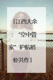 江西大余：“空中管家”护航稻虾共作