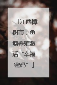 江西樟树市：鱼塘养殖激活“幸福密码”