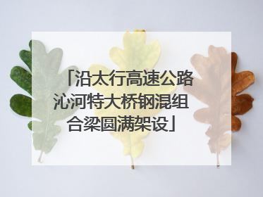 沿太行高速公路沁河特大桥钢混组合梁圆满架设
