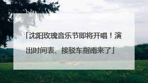 沈阳玫瑰音乐节即将开唱！演出时间表、接驳车指南来了