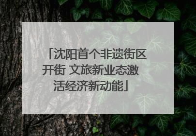 沈阳首个非遗街区开街 文旅新业态激活经济新动能