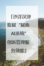 沙洋汉津监狱“狱政AI系统”创新管理服务效能