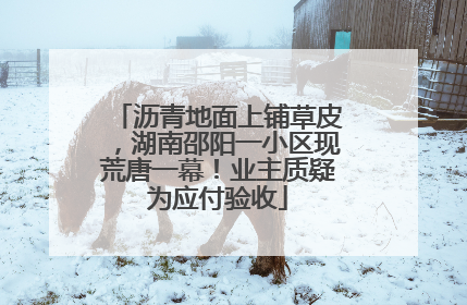 沥青地面上铺草皮，湖南邵阳一小区现荒唐一幕！业主质疑为应付验收