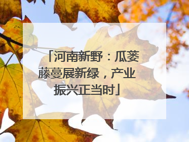 河南新野：瓜蒌藤蔓展新绿，产业振兴正当时