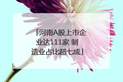 河南A股上市企业达111家 制造业占比超七成