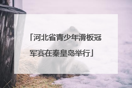 河北省青少年滑板冠军赛在秦皇岛举行