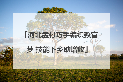 河北孟村巧手编织致富梦 技能下乡助增收