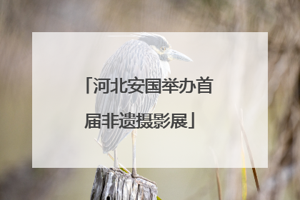 河北安国举办首届非遗摄影展