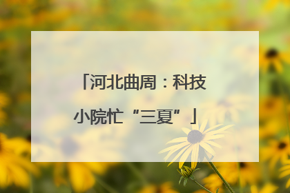 河北曲周：科技小院忙“三夏”