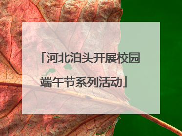 河北泊头开展校园端午节系列活动