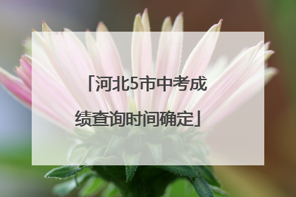 河北5市中考成绩查询时间确定