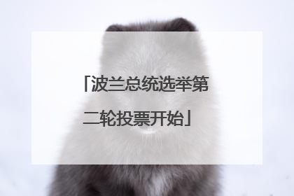 波兰总统选举第二轮投票开始