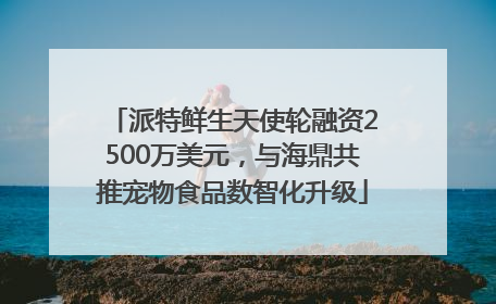 派特鲜生天使轮融资2500万美元，与海鼎共推宠物食品数智化升级
