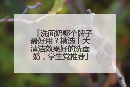 洗面奶哪个牌子最好用？精选十大清洁效果好的洗面奶，学生党推荐